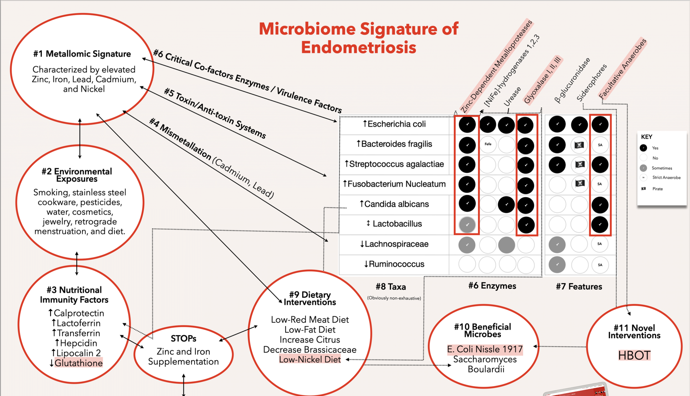 Beyond Protocols: The Case for Systems Thinking in Microbiome Research